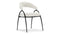 Astra - Astra Dining Chair, Pearl Boucle